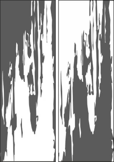 0010