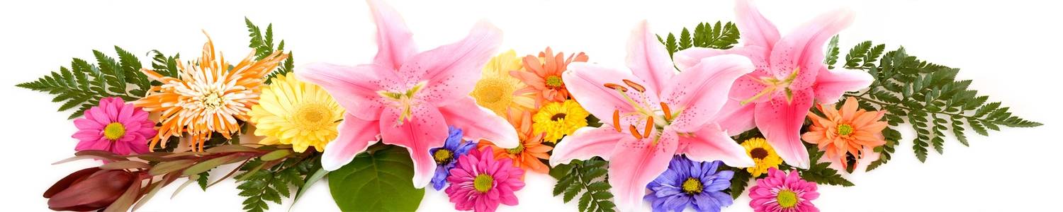 Кухонный фартук 153