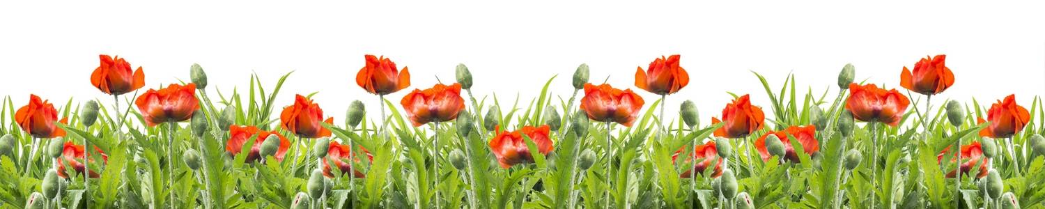 Кухонный фартук 176