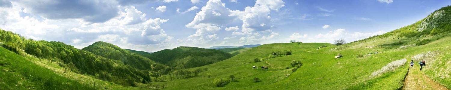 Кухонный фартук 278