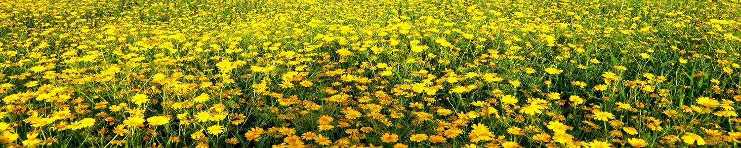 Кухонный фартук 356