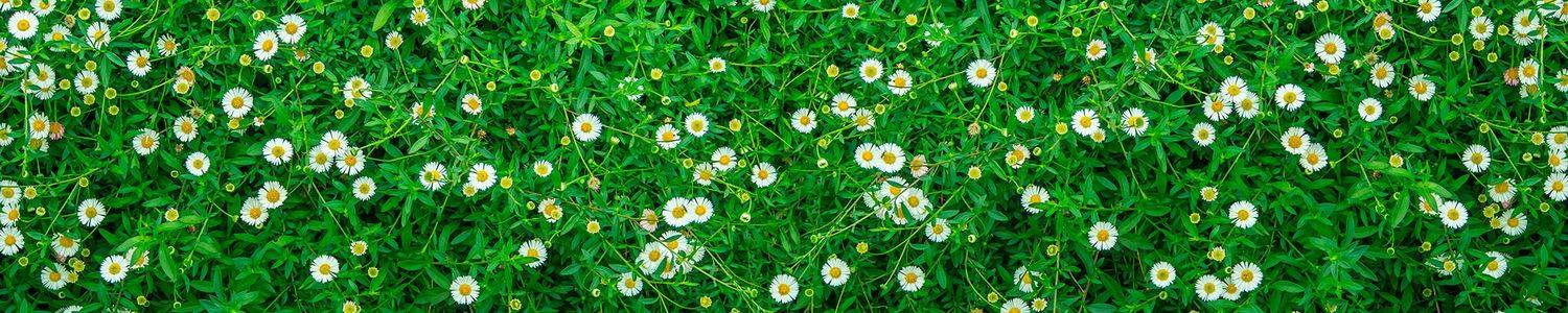 Кухонный фартук 013
