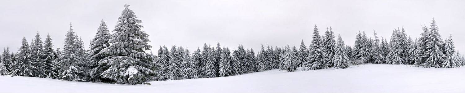 Кухонный фартук 063