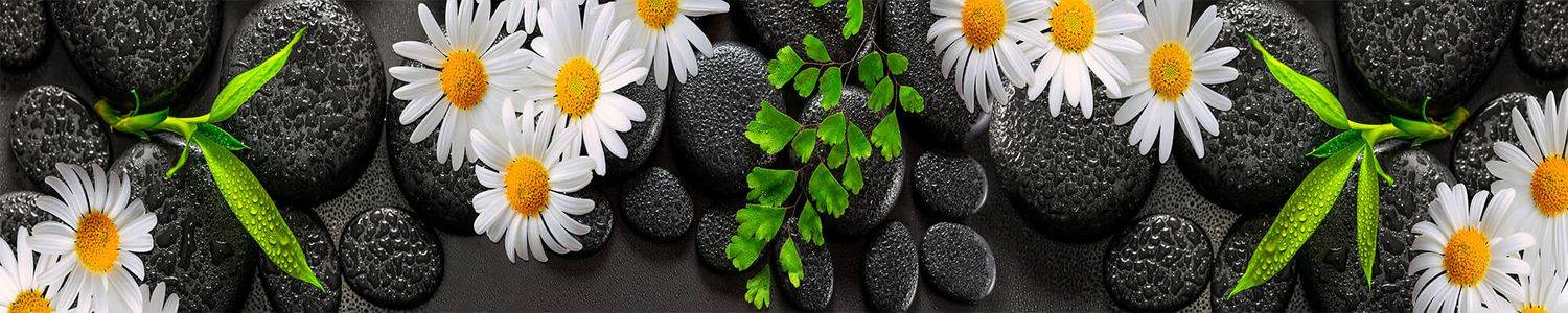 Кухонный фартук 1279