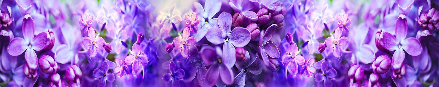 Кухонный фартук 1326