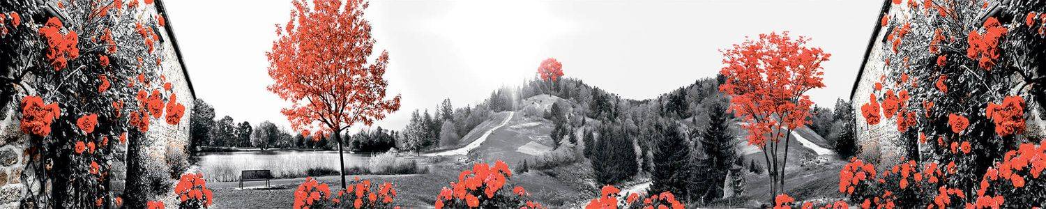 Кухонный фартук 1504