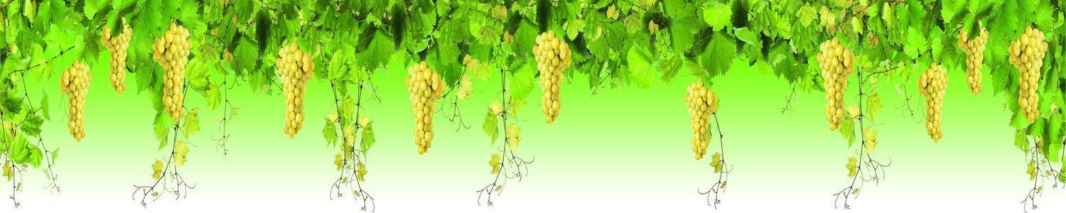 Кухонный фартук 2151