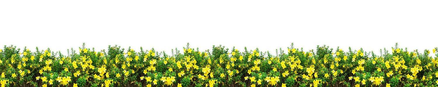Кухонный фартук 2316
