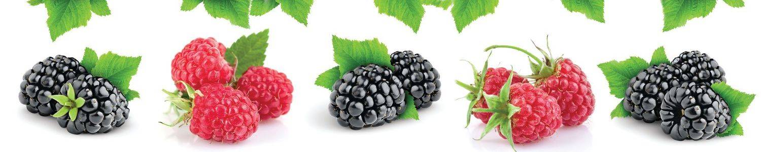 Кухонный фартук 2539