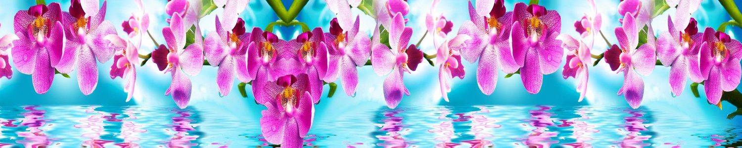 Кухонный фартук 2804