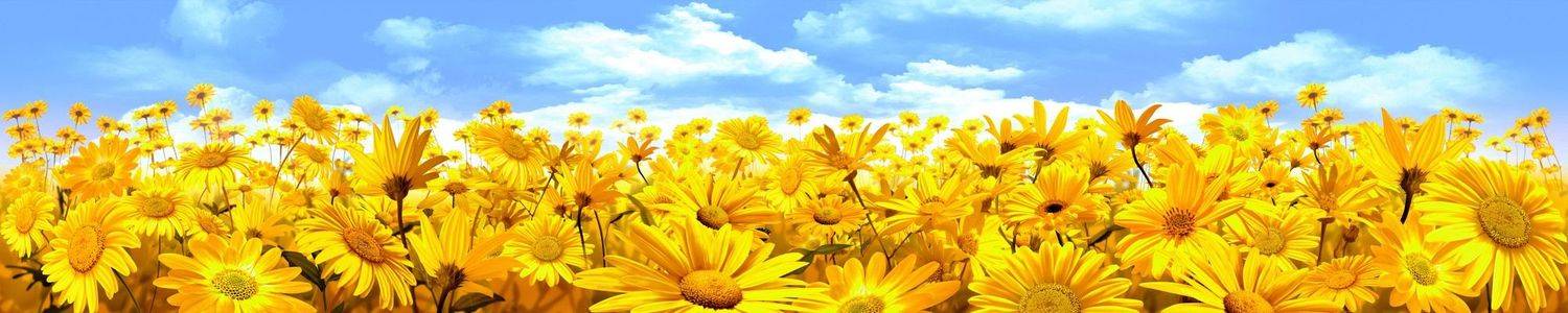 Кухонный фартук 2935