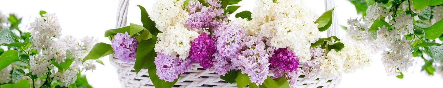 Кухонный фартук 3170