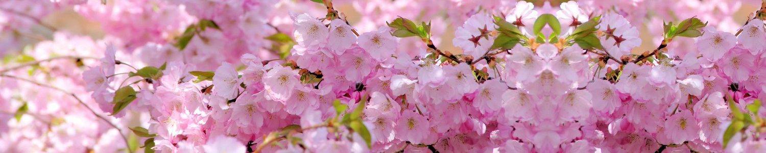 Кухонный фартук 3177