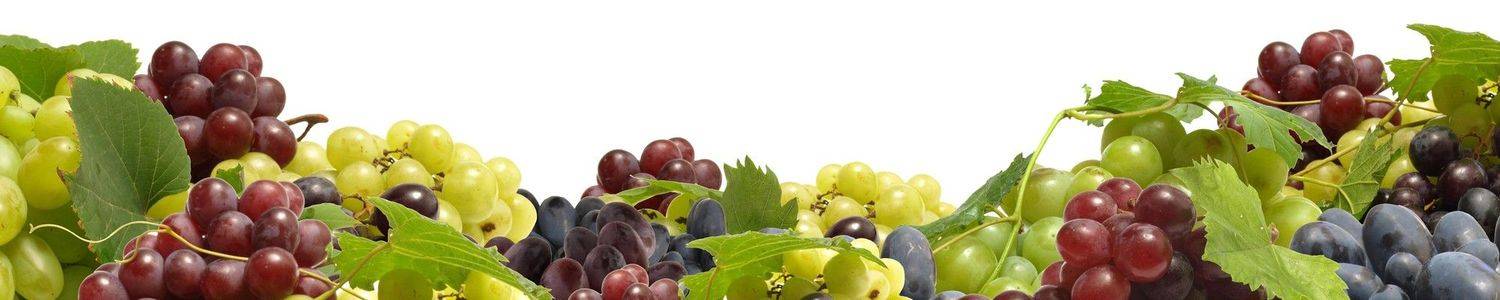 Кухонный фартук 3305