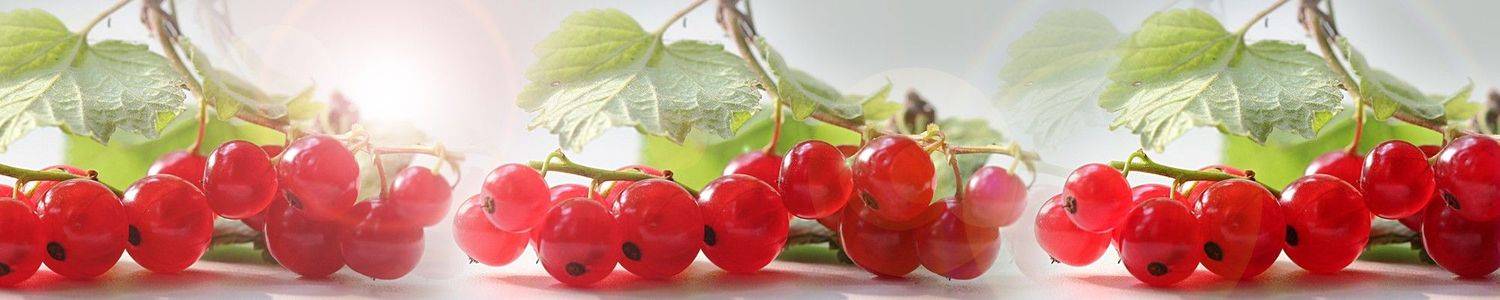 Кухонный фартук 3358