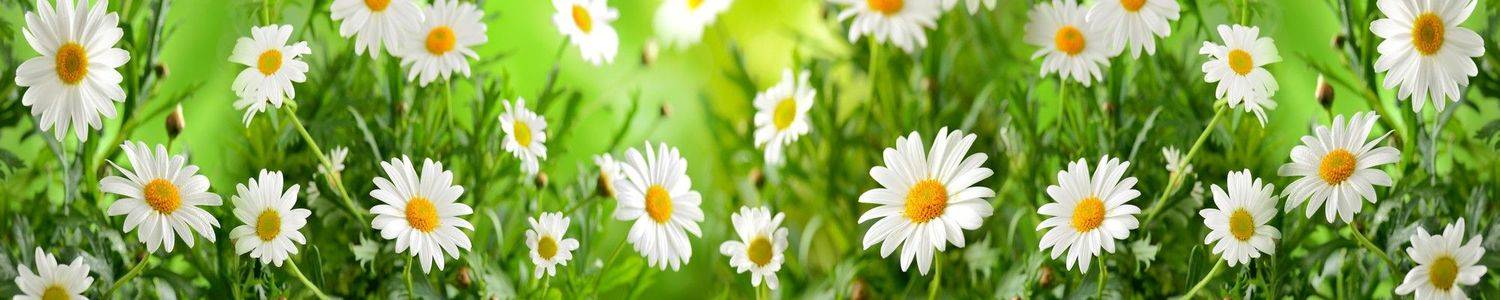 Кухонный фартук 3420