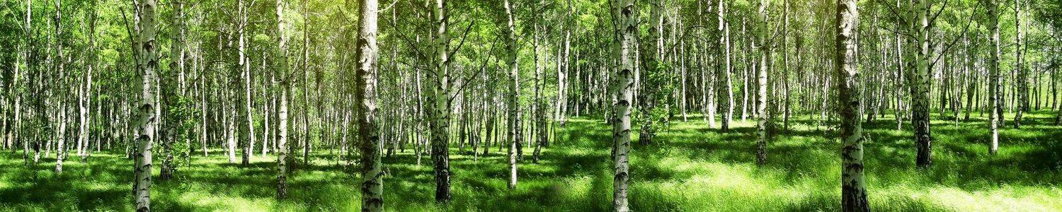 Кухонный фартук 3423