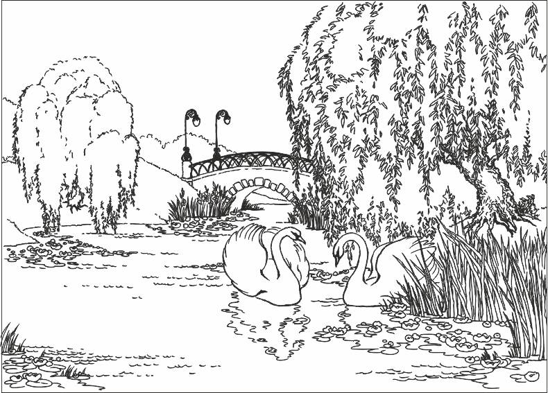 Рисунок на шкаф-купе R4245