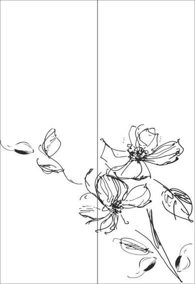 Рисунок на шкаф-купе R4898