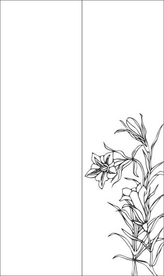 Рисунок на шкаф-купе R5367