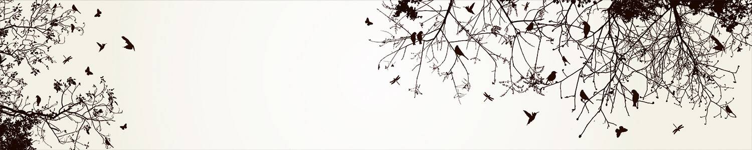 Кухонный фартук 4027