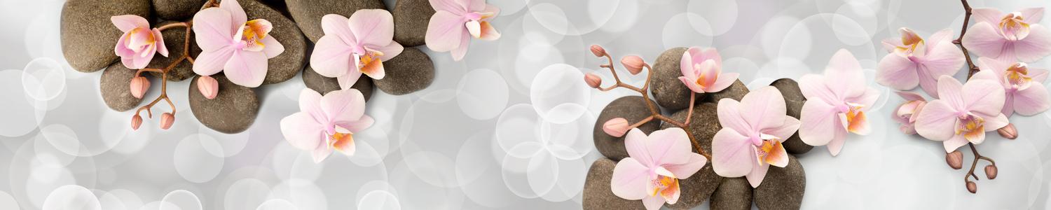 Кухонный фартук 5960