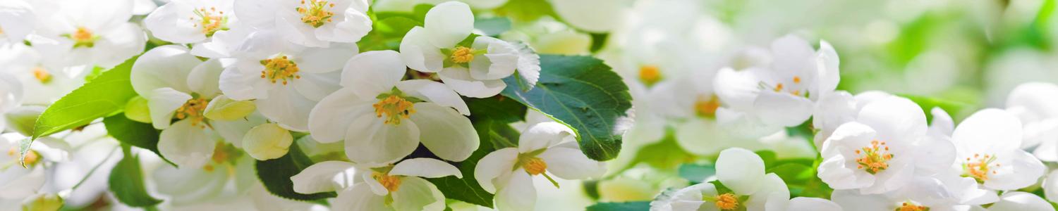 Кухонный фартук 5974