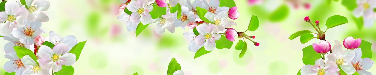 Кухонный фартук 6647