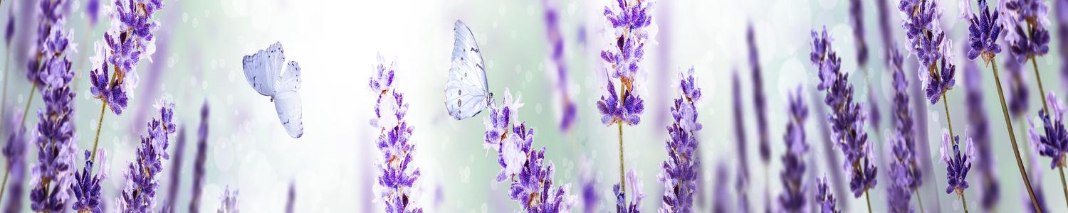 Кухонный фартук 8810