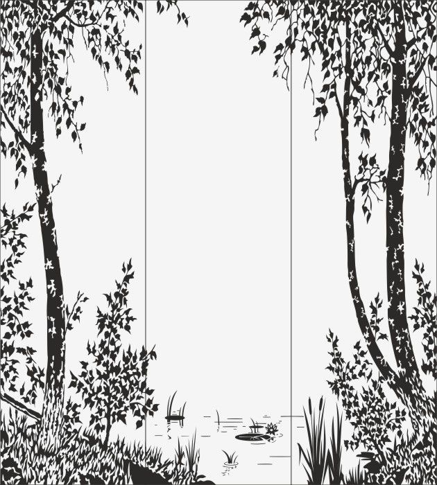 Рисунок на шкаф-купе R6294