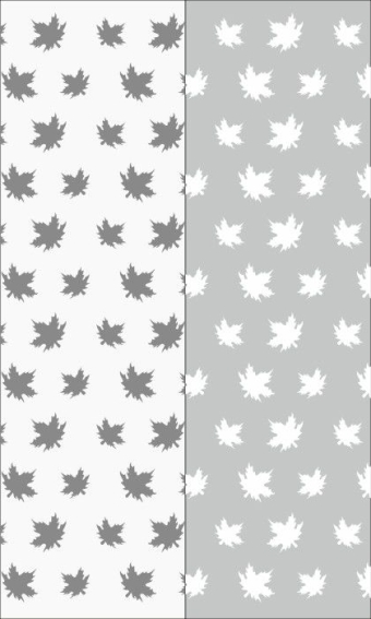 Рисунок на шкаф-купе R7711