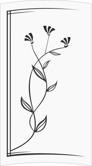 Рисунок на шкаф-купе R7814